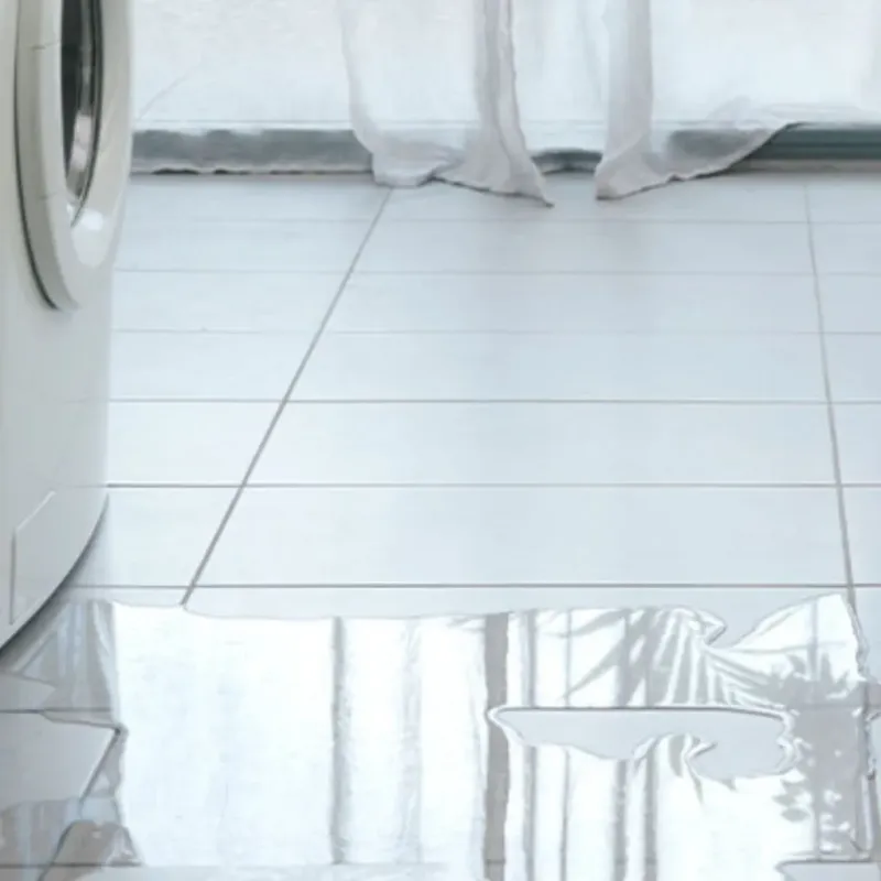 Appliance Leak Cleanup in Grand Ronde, OR